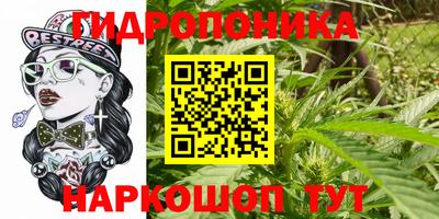 экстази Будённовск
