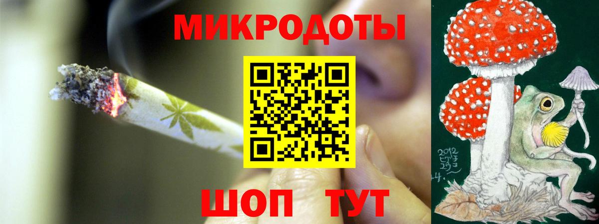 Фролово  Галлюциногенные грибы Psilocybe  Вход с VPN 